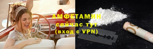 сатива Аркадак