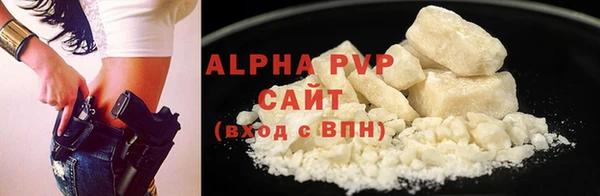 сатива Аркадак