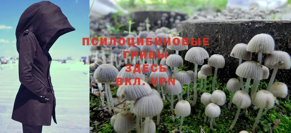 соль курить ск Арсеньев