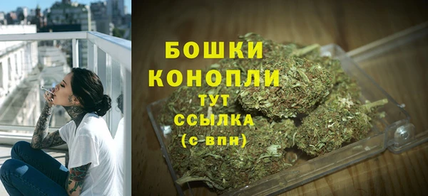 сатива Аркадак
