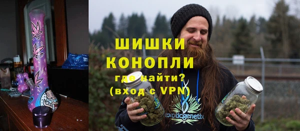сатива Аркадак