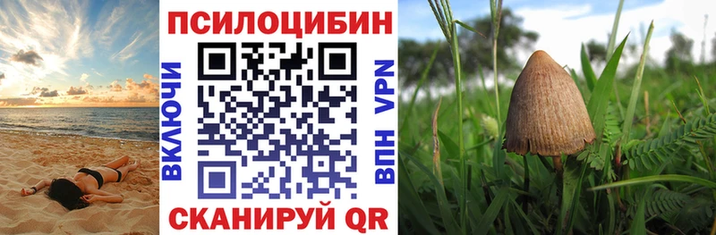 Галлюциногенные грибы Cubensis Лысково