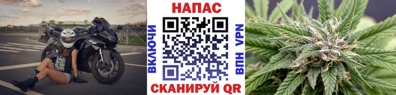Шишки марихуана OG Kush  блэк спрут как войти  Лысково 