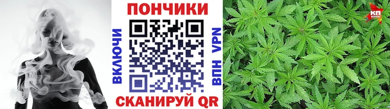 Каннабис сатива Лысково